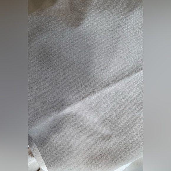 Aritzia Babaton Pleated Pant - Picture 9 of 11